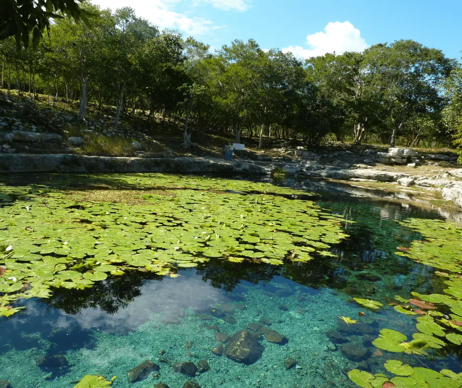 Xlacah Cenote in Merida, Yucatan, Mexico 