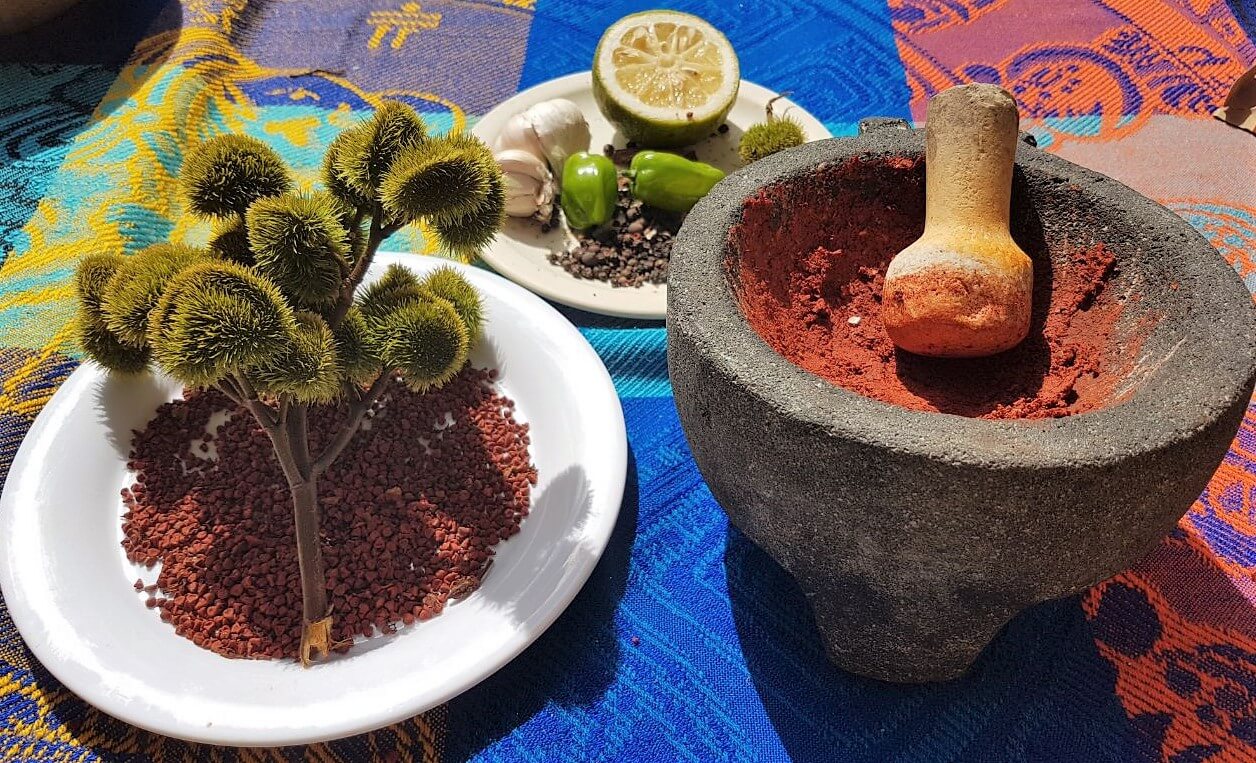 Chichen Itza Mayan Cuisine Tour Plus