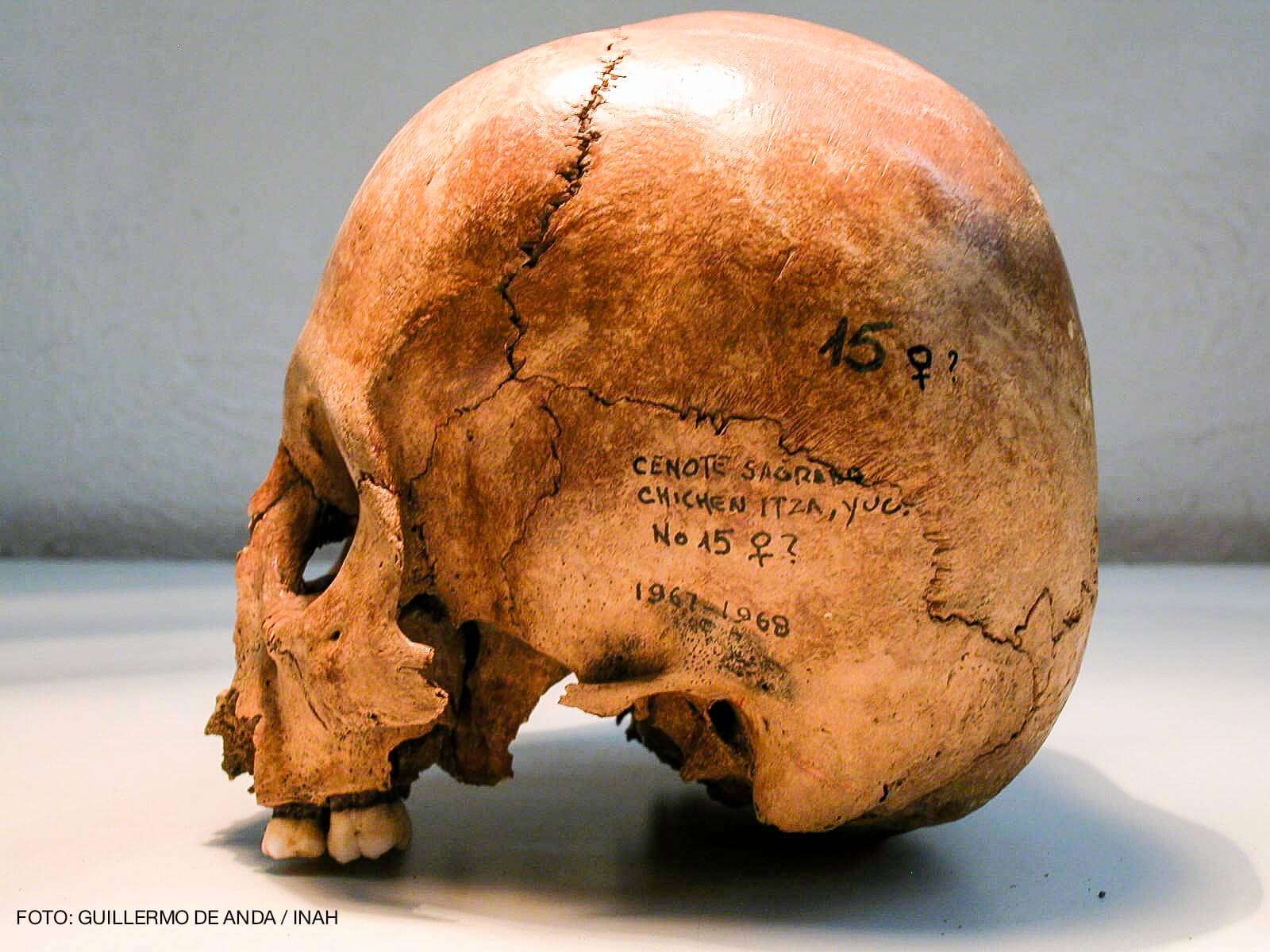Sacred cenote skull Chichen Itza